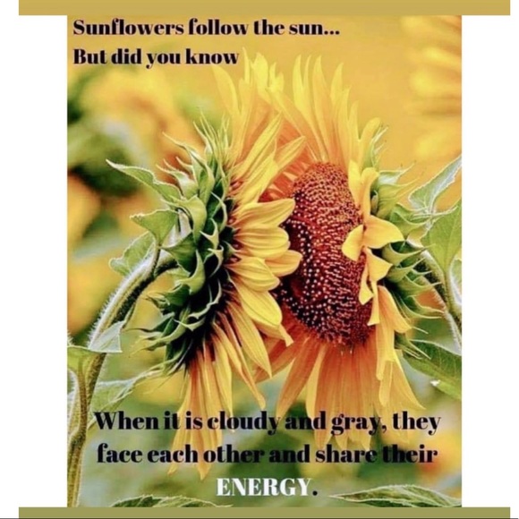 Hello Present & Future Fellow Poshers - Picture 2 of 9